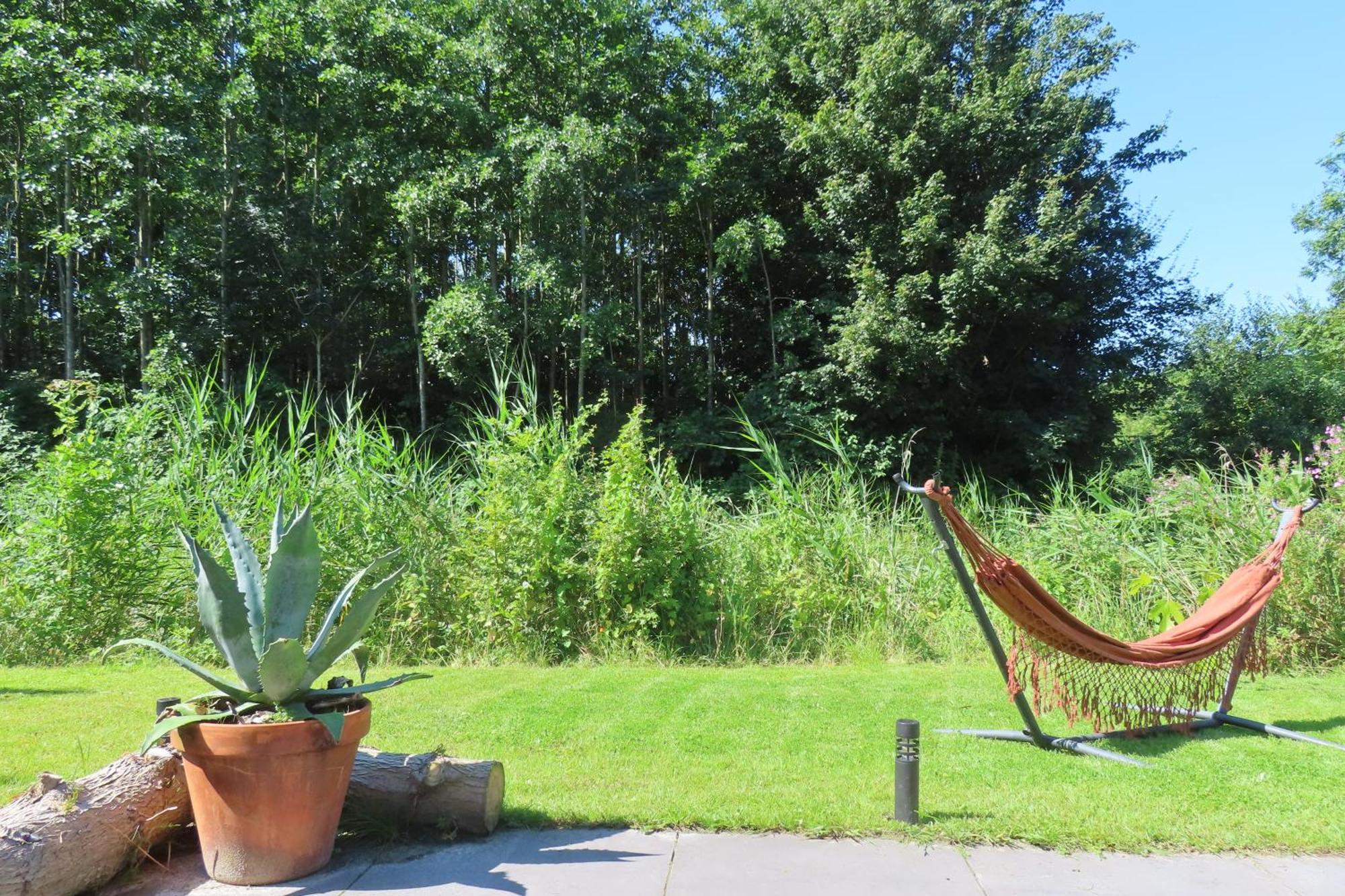فيلا Tiny Botanic House Tzummarum المظهر الخارجي الصورة